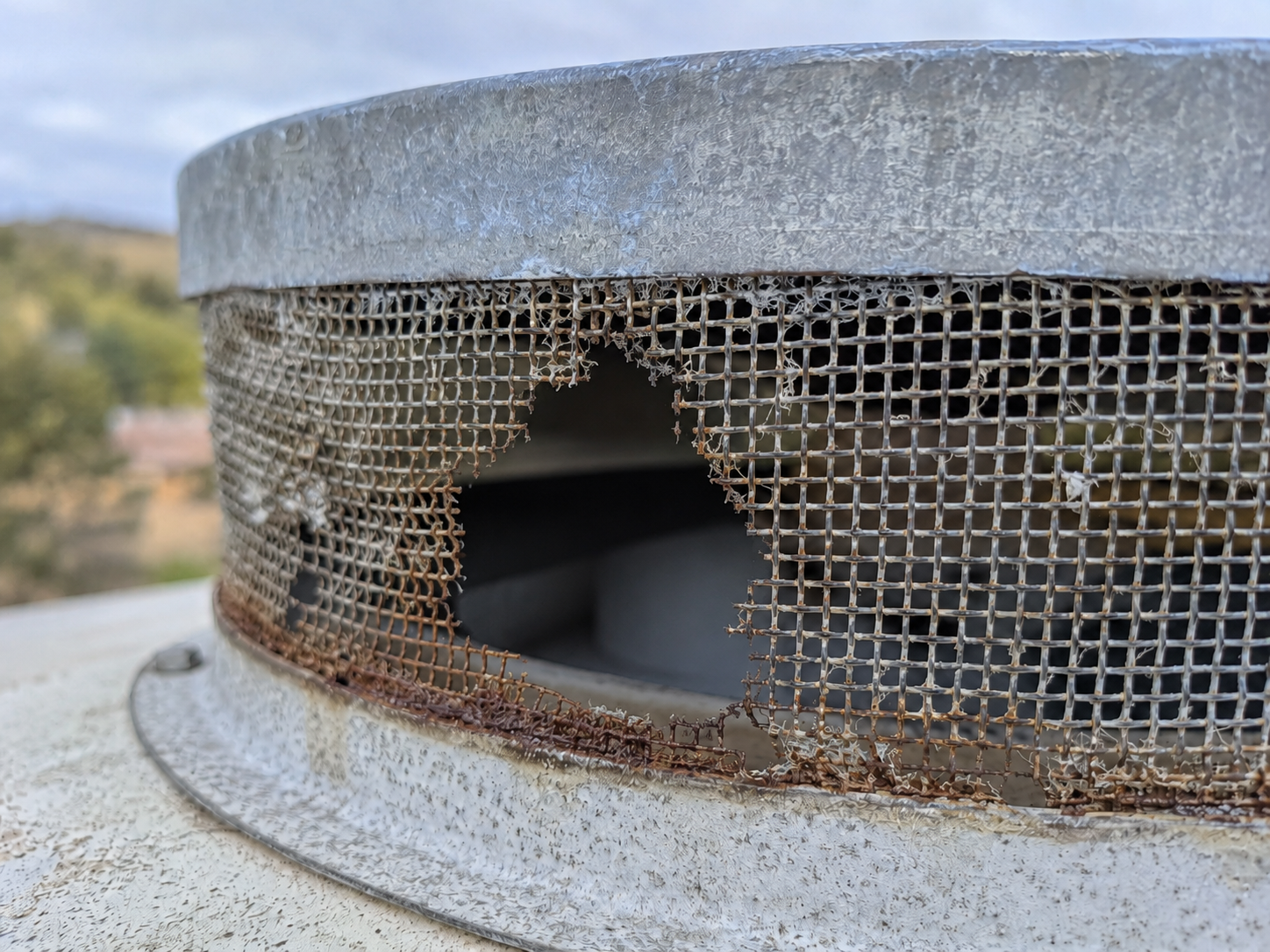Corroded vent mesh on a water tank with visible tears and gaps