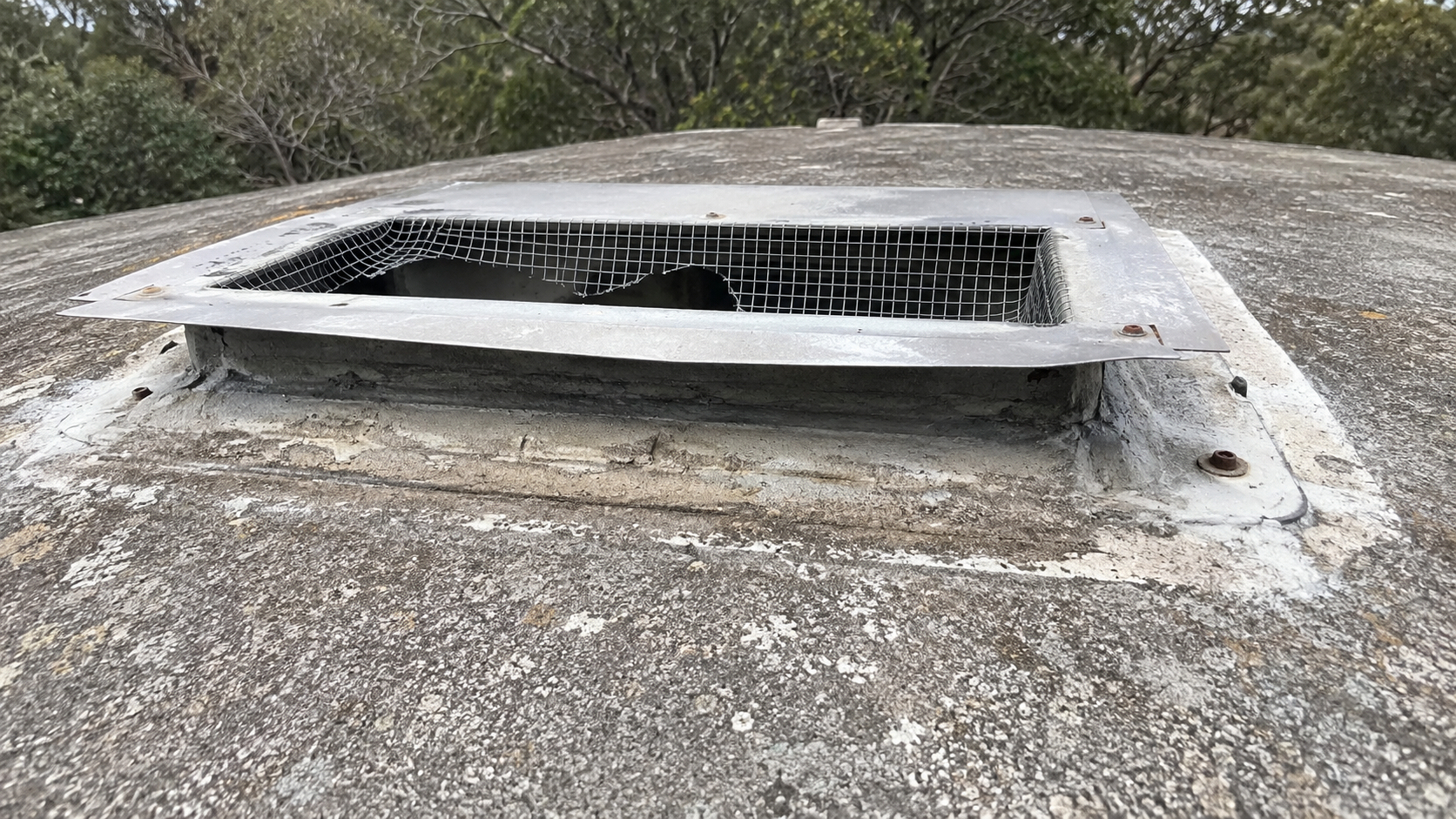 Damaged roof vent mesh on a water storage tank creating a bird entry gap