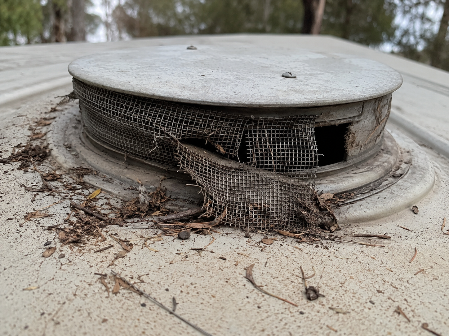 Damaged vent screen on a water tank allowing debris and animal ingress